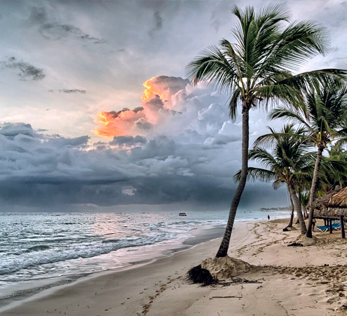 Honduran jungle border